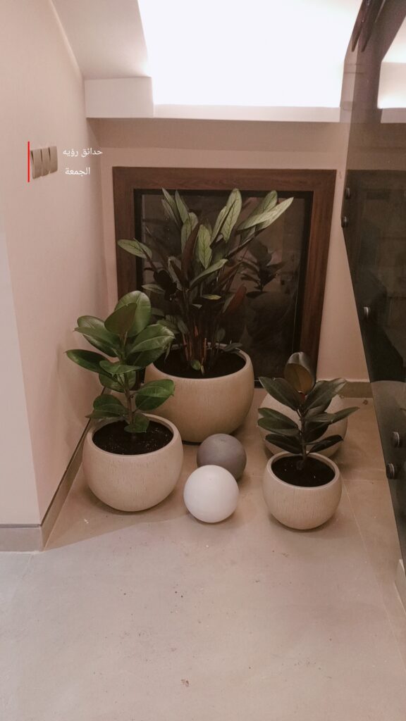 احواض زرع خارجية